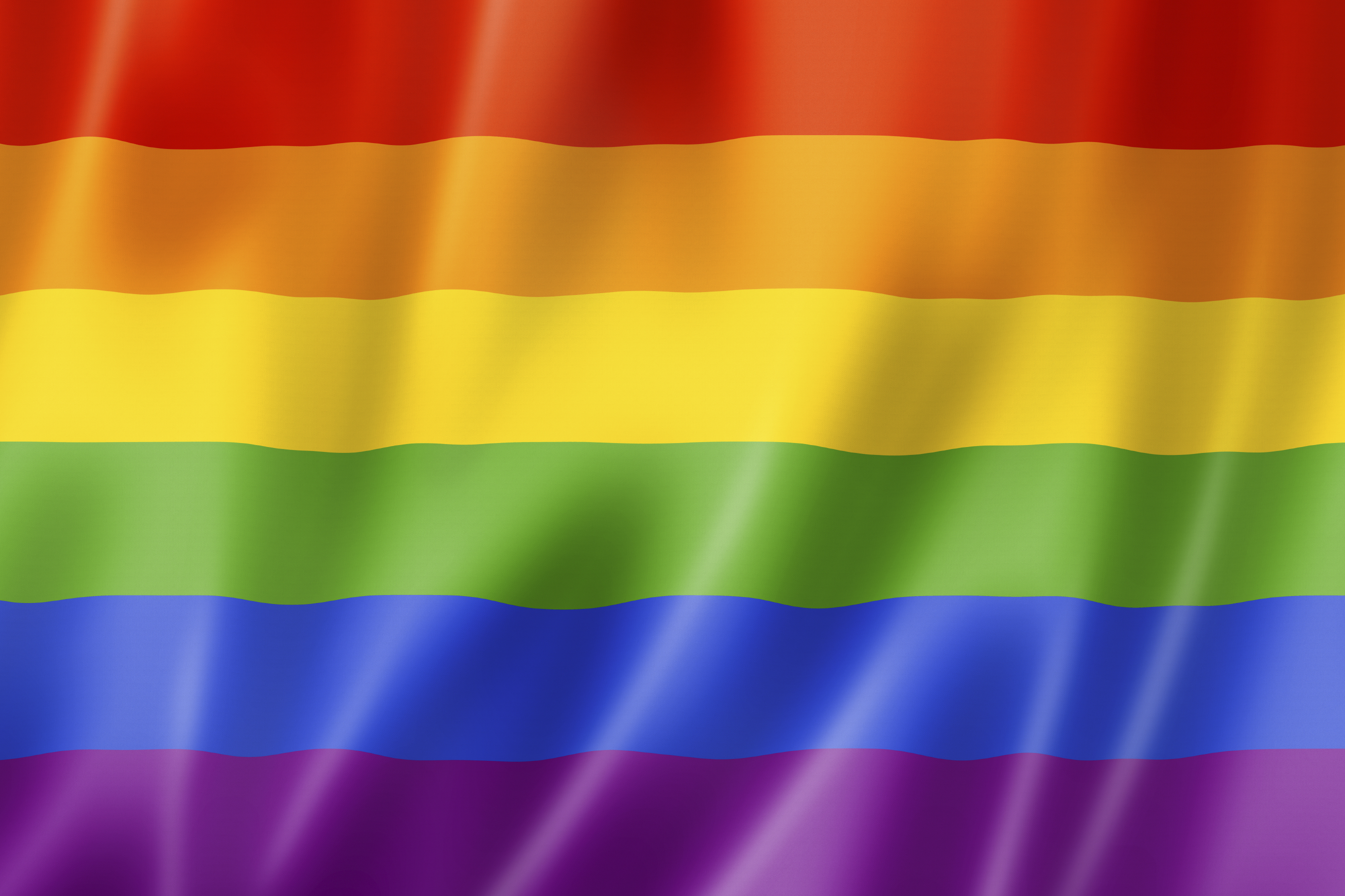 Rainbow gay pride flag | RDT World of Sport